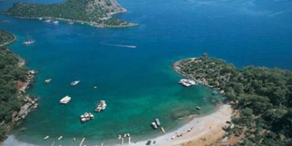 Sahilde vakit geirmeye karar verirseniz dikkat edin. Kyn sakin sularn kendilerine yuva edinmi yunus ailesi her an sizi selamlamak iin kafalarn sudan karabilir.