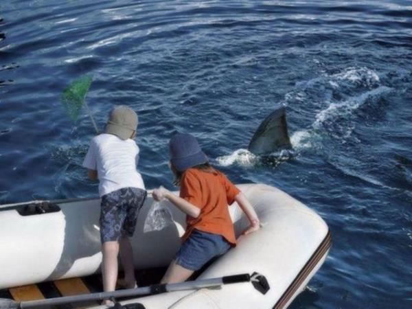 Sosyal medyada paylam rekorlar kran kareler...