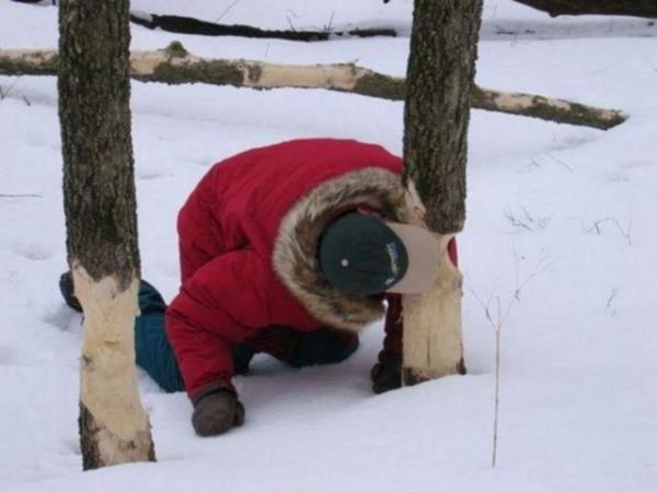 Sosyal medyada paylam rekorlar kran kareler...