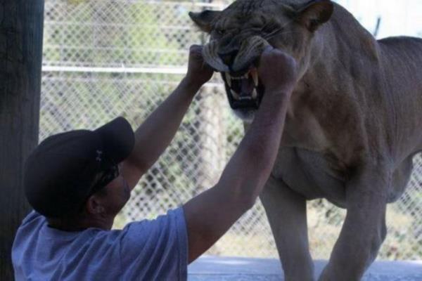 Sosyal medyada paylam rekorlar kran kareler...
