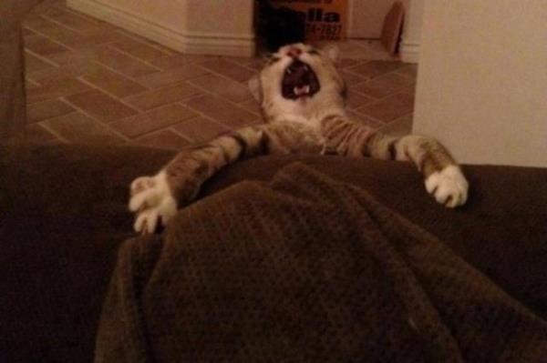 Sosyal medyada paylam rekorlar kran kareler...