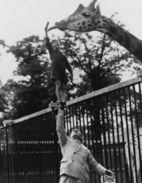 Sosyal medyada paylam rekorlar kran kareler...