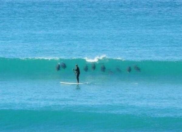 Sosyal medyada paylam rekorlar kran kareler...