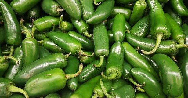 Yeilbiber (eski) / Yeil biber (yeni)