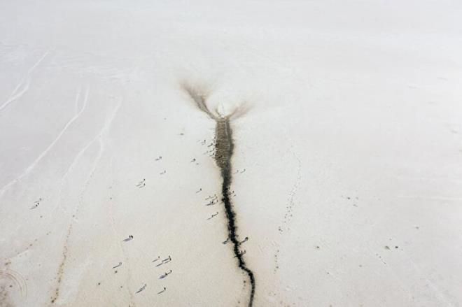 Her yl ok sayda yerli ve yabanc turistin ziyaret ettii gldeki algler, scakln ve tuzluluun artt yaz dnemlerinde krmz renkli beta-karoten madde reterek gne nlarnn zararl etkilerinden kendisini koruyor.