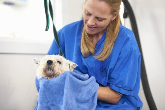 Kahve telvesi tam bir pire kovucudur. Evcil hayvannzda ya da evinizde pire varsa telveyle kurtulabilirsiniz. Pireler kahve telvesini sevmezler, bu yzden ampuandan sonra evcil hayvannzn zerine biraz srn, ardndan durulayn ve kurumaya brakn. Sadece yememesine zen gsterin. Hayvan zehirleyebilir.