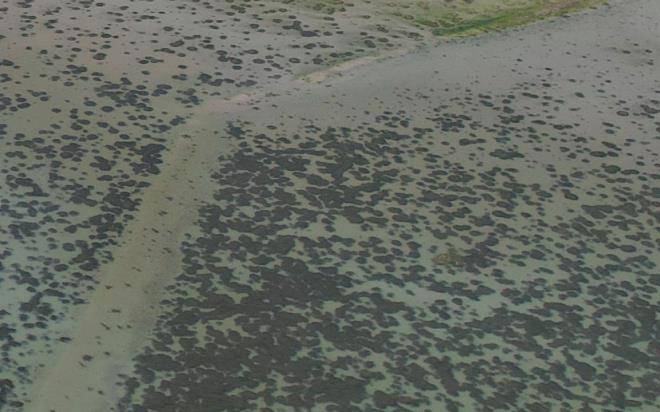 STANBUL'da hava scaklklar etkisini gsterirken, barajlardaki doluluk oran yzde 37'ye geriledi. Bykekmece Gl?nde ise su seviyesi yzde 18.02 seviyesine kadar derken suyun ekildii yerler dron ile havadan grntlendi.