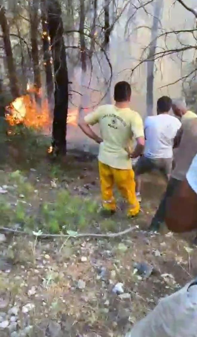 pheli emniyetteki ilemlerinin ardndan Mula adliyesine sevk edildi.    Yangnda yaklak 10 dnm ormanlk alan zarar grmt.