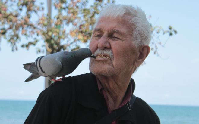 ORDU?nun Altnordu ilesinde yaayan 92 yandaki Reat olak, her gn ilenin Akyaz Mahallesi?nde bulunan sahil blgesine gelerek gvercinleri az ile besliyor.