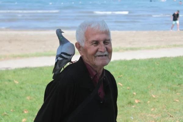 ?Ben a gezerim ama bunlar a brakmam?<p>  olak, gvercinlerin kendisini beklediini ve onlar a brakmamak iin abaladn syleyerek, ?Allah nasip ederse lene kadar bunlara bakmaya devam edeceim. lk nce kafamdan besleniyorlard, imdi azmdan ve elimden de besleniyorlar.