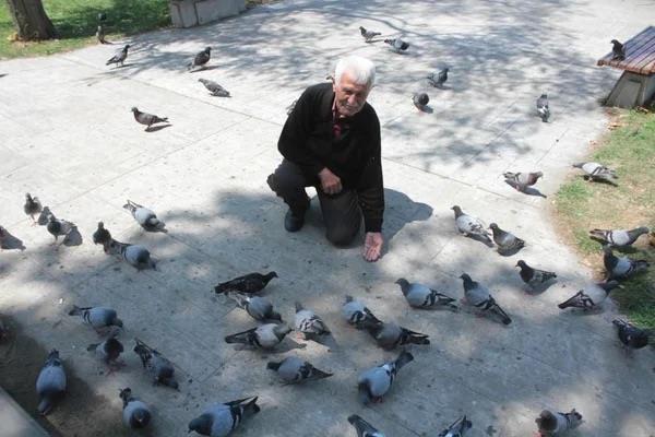 Ben bunlar kendi ocuum gibi seviyorum, sabah namazn kldktan sonra burada beni bekliyorlar. Ben buradan gidersem burada tek bir gvercin kalmaz. Ben a gezerim bunlar a brakmam? ifadelerine yer verdi.