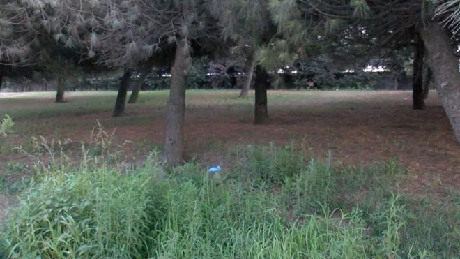 Polis ekiplerinin olayla ilgili incelemesi devam ediyor.