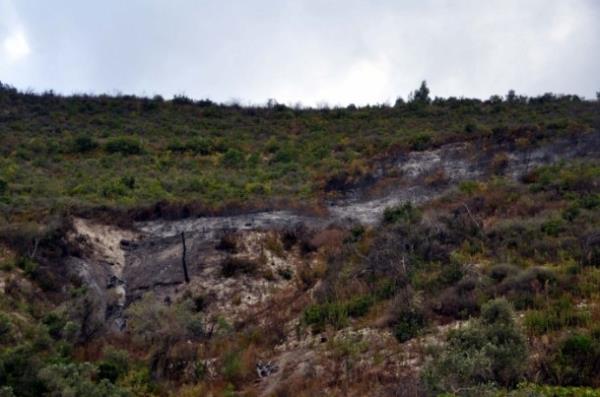 Hatay'n Yaylada ilesine bal Topraktutan kynn karsnda Suriye tarafnda den helikopterin dalk ve ormanlk alandaki enkazna ulald.