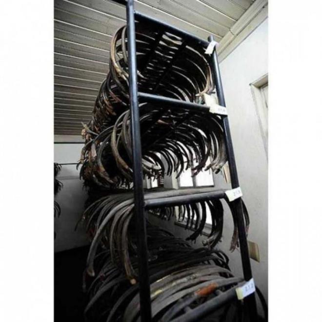 YAY    Yay,Trklerin kulland en nemli silahlar arasnda kukusuz ilk sray almas gerektiini dndmz bir sava aracdr. Trkler yay yapmnda o kadar ustalatlar ki dier milletlerin yaylarndan 2 kat gl olan kendi yaylarn yaptlar. trk Yay'nn bu denli gl olasndaki sr dier yaylarn aksine yani tersine kurulmasndan kaynaklanyordu.