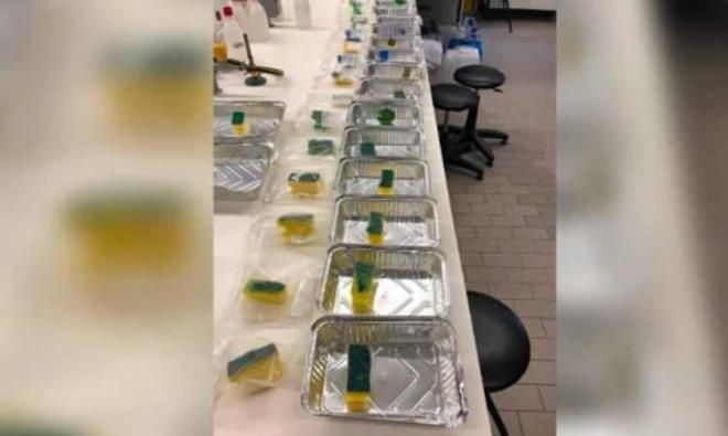 te yandan aratrmaclar, fralara ve sngerlere salmonella bakterisi eklediinde, gece boyunca kurumaya braklan fralardaki salmonella saysnda nemli bir azalma buldu. Ancak, saklama koullar ne olursa olsun, plastik torbada saklanan fralarda veya sngerlerde herhangi bir azalma olmad.