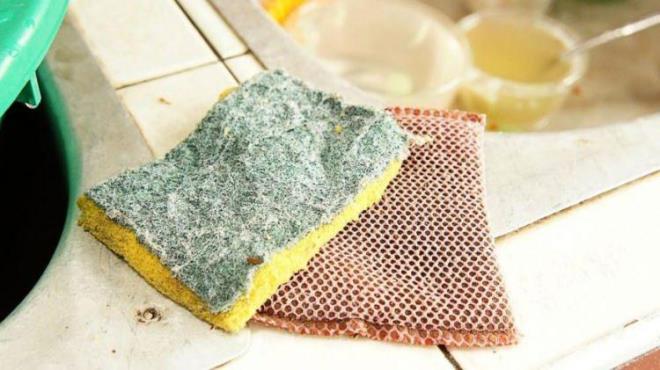 Norveli bir gda aratrma enstits olan Nofima'da aratrma bilimcisi olan Trond Mretr, "Salmonella ve dier bakteriler sngerlerde fralardan daha fazla oalr ve hayatta kalr. Bunun nedeni gnlk kullanmda sngerlerin asla kurumamas." dedi.