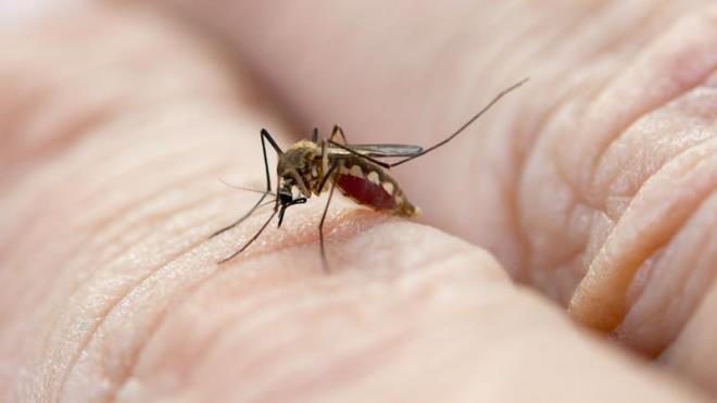 Sivrisinek kantsn geiren yntemler sayesinde, o bceklerin verdikleri rahatszlk biraz azaltlabiliyor. Nitekim kant iin uygulanabilecek sz konusu 2 yntem, oysa bu kadar kolaym bile dedirtebiliyor.