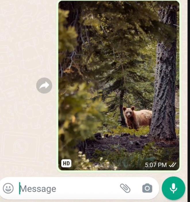 WhatsApp'in son srmne sahip olan herkes bu zellikten faydalanabilecek.