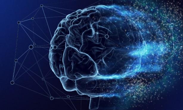 Tm bu aamalarn sonucunda ise yapay zekann yksek doruluk oranyla tu seslerini ayrt edebildii ortaya kt. Uzmanlar ise bu durumun ciddi oranda tehlike oluturduunu belirtti.