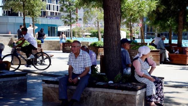 Aydn    Aydn: Yzde 50