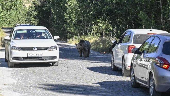 aralarn durdurarak grnt ald.