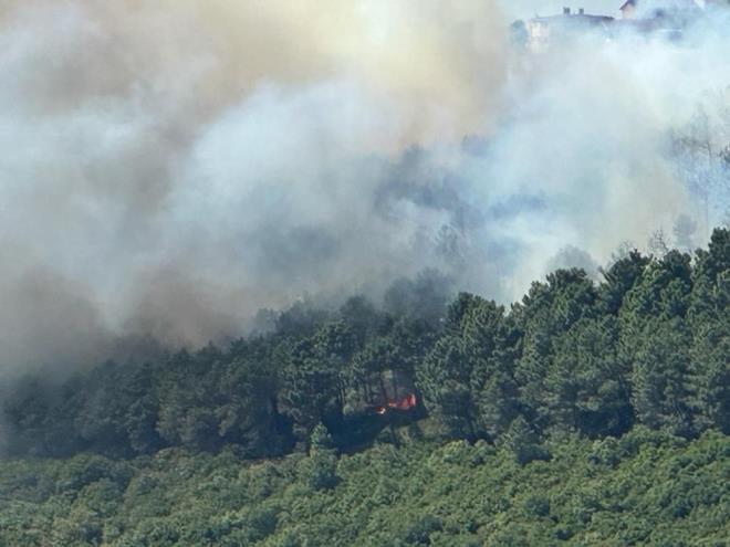 Maltepe'de ormanlk alanda kan yangna itfaiye ekipleri mdahale ediyor.