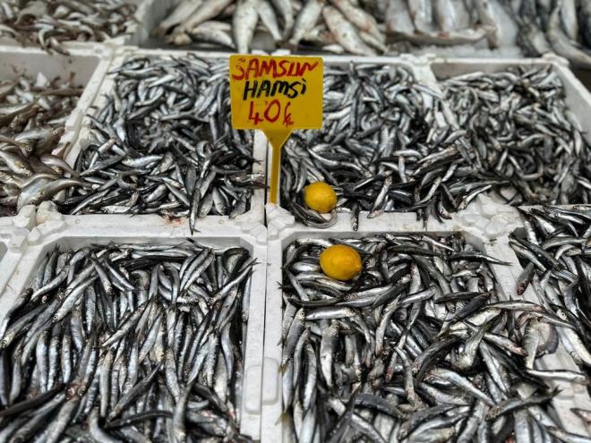 "KARADENZ HAMS KAYNIYOR"    Balk Halit Bayrak, "Bu sene kayklardan aldmz bilgilere gre hamsi ok bol olacak. 'Karadeniz tamamen hamsi kaynyor.' diyorlar. Bugn hamsinin kilosu 40 TL. Fiyat daha da der. Bu sene insanlar bol bol hamsi yiyecek. Geen sene palamut ok vard. Bu sene ise hamsi var.'' dedi.