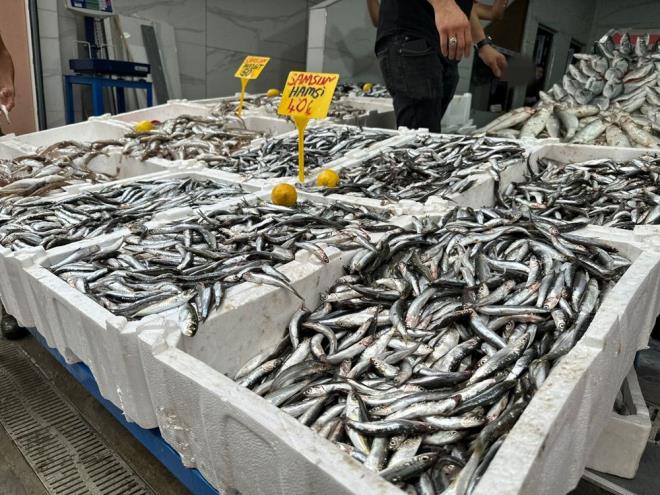 Kilogram fiyat 40 TL'den sata sunulan hamsi en ok tercih edilen balklar arasnda yer alyor.