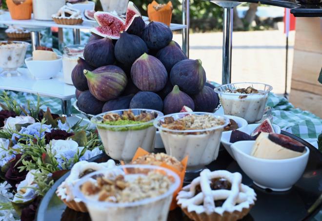 &#8232;Gndodu Mahalle Muhtar Sava zkan da, rnlerin bereketli, kazanlarn bol olmasn temenni etti. Tren sonrasnda Bakan Alinur Akta ve beraberindekiler, bahe hasadna katlarak siyah incir toplad.