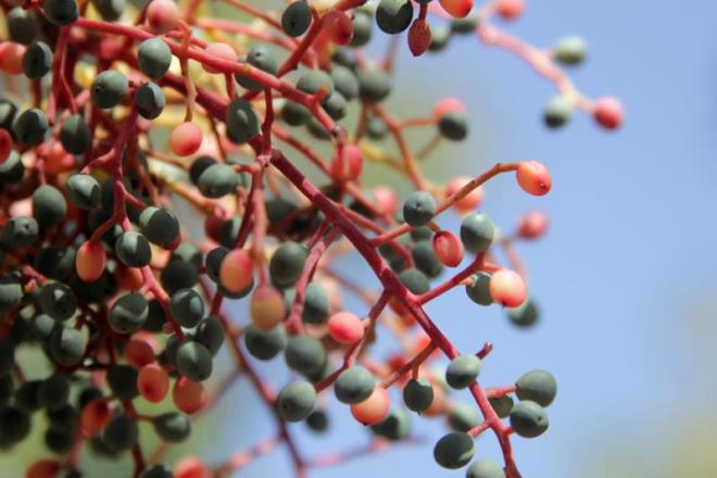 Yz lekelerini giderir.