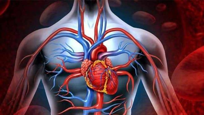 Pis kan ne kadar erken temizlenirse ciddi salk sorunlarn nler, cilt gzelliiniz bir o kadar artar ve kilo vermeniz kolay hale gelir. Tkettiiniz anda damarlardaki pis kan temizleyen, kalp krizi ve beraberinde getiren salk sorunlarn ortadan kaldran besinleri sizlerle paylayoruz.