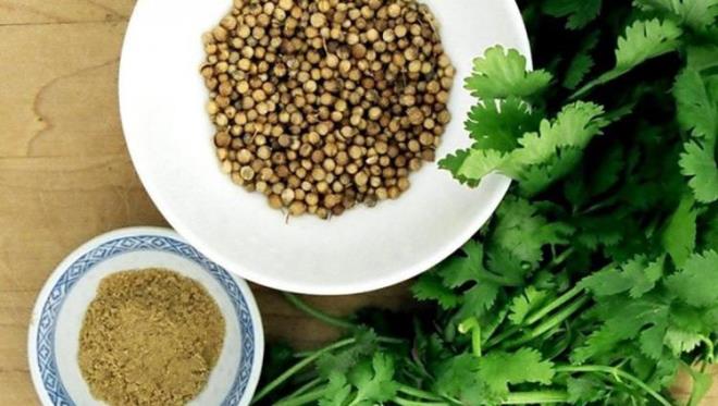 KN<br>Kan temizleyen kini kalp ve damarlardaki hasarlar iyiletirir. Ayrca damar sertliini nler ve ya depolanmasn engeller.