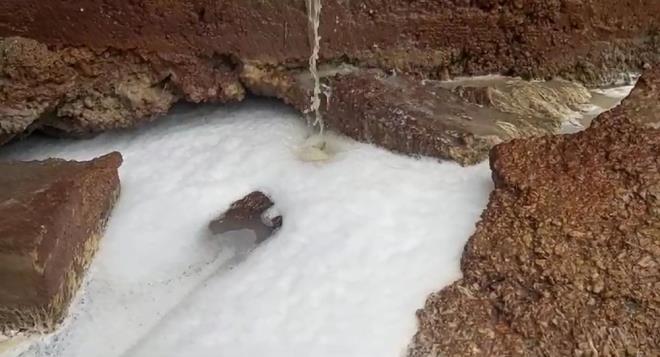 Olay, sabah saatlerinde Dilovas ilesi Tavancl Sahili'ndeki Tavancl Amatr Balklar Dernei mevkisinde meydana geldi.