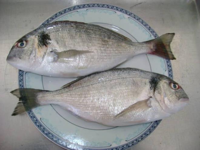 Hamsi ve sardalya 50 lira ile 70 lira aralnda, byklne gre 1 kilogram levrek 200 lira ile 240 lira aralnda, 1 kilogram ipura 140 lira ile 210 lira aralnda, 1 kilogram Trk somonu 170 liradan satlyor. Bir kilogram balk drt kiilik bir ailenin bir nn rahatlkla karlyor.