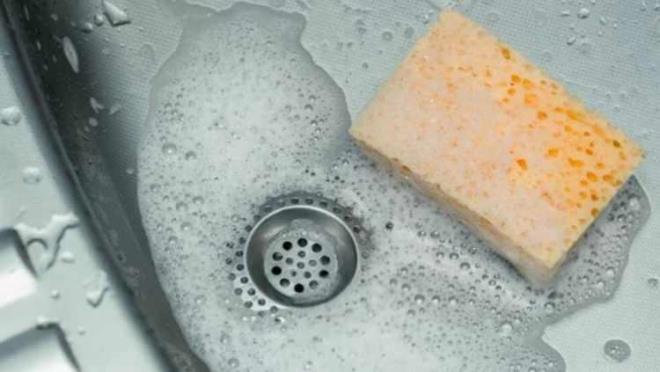 Fralarda veya sngerlerde patojenik bakteri (hastala neden olan) bulunmad. Bununla birlikte, kullanlan fralarda genel bakteri seviyeleri sngerlere gre daha dkt. ki temizlik aletinde de benzer patojenik olmayan bakteri trleri bulundu.