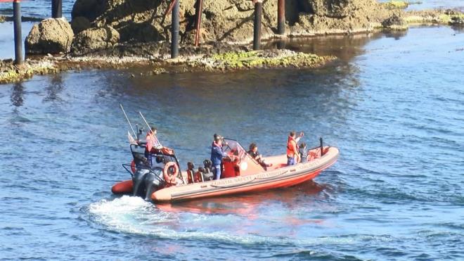 Yaral olarak kurtarlan Geyik, hastanede tedavisi devam ederken yaad 5 gn anlatt.