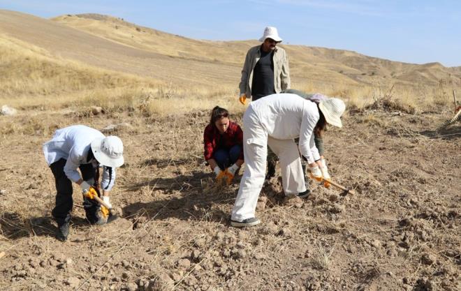 AYB retim yesi Prof. Dr. Bahattin elik ise "Eskiden burada Kayra isminde bir ky varm. imdiki kyn yaklak olarak 3 kilometre kuzeyinde bulunuyor. Savata burada pek ok insann ehit olduunu ve dolaysyla da buraya ehitlerle ilgili bir mezarlk yaplm olduunu tahmin ediyoruz. Bu blgelerde Ankara Sava?yla ilgili ok sayda delil bulana kadar bu tr kazlarmz devam edecek." ifadesini kulland.
