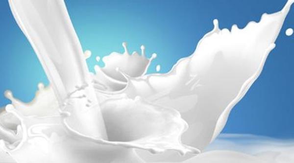 <p><b>FAYDALARI;</b></p>  -Sindirim sistemini dzene sokar.  <p>-Byme ve gelimeyi destekler.</p>  -Dileri korur ve rkleri nler.  <p>-Hcre ve doku oluumunda rol alr.</p>  -Sa ve trnak oluumunda rol alr.  <p>-Yaralarn abuk kapanmasna yardmc olur.</p>  -Kilo kontrol kolaylatrr.  <p>-Beynin geliiminde ve almasnda faydaldr.</p>  -Hcreleri onarr.  <p>-Kemikleri sertletirir.</p>  -Bakl glendirir.