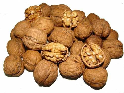 <b>CEVZ:</b> erdii fosfor ve kalsiyum nedeniyle zihni yorgunluu giderir, kemik ve dileri glendirir. Potasyum asndan olduka zengindir. Potasyum, sinirlerin uyarm ve kas dokusunun almas iin gereklidir.