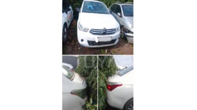 2016 Model, CITROEN Marka, D Tipli, Rengi Beyaz.  <p>    Fiyat: 302 bin 500 TL.