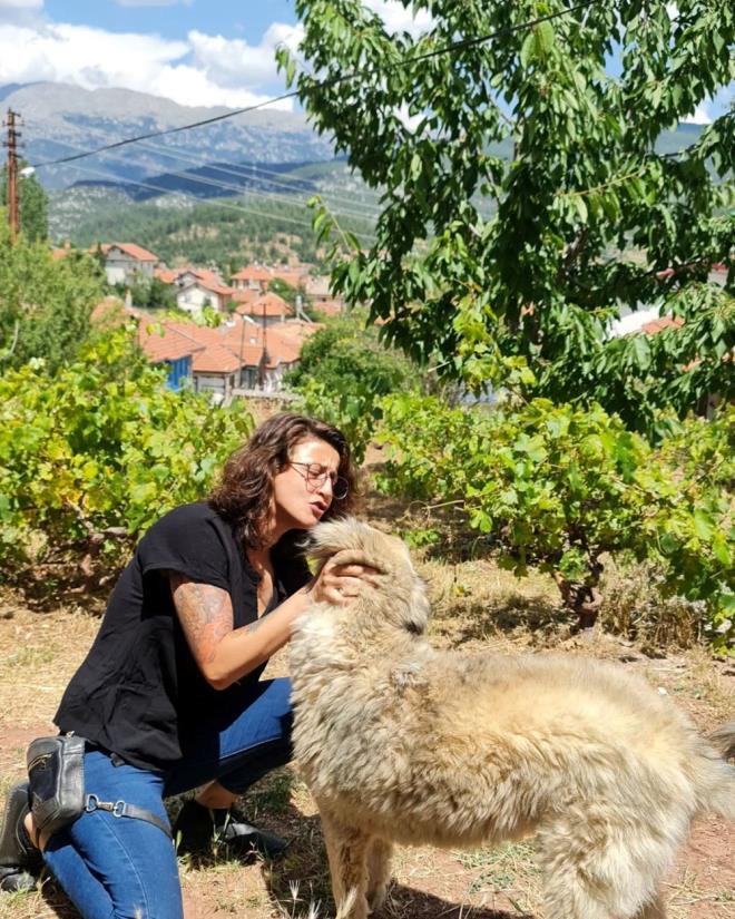 Ancak sanat kzn kabul etmeyince Duygu Nebiolu hukuki yollara bavurdu.    Babalk testini deerlendiren mahkeme, Duygu Nebiolu'nun Metin Akpnar'n kz olduuna karar verdi. Nebiolu'nun Metin Akpnar'n biyolojik kz olduu saptand.
