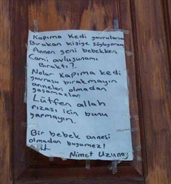 Vatandan hayrete dren hareketleri...