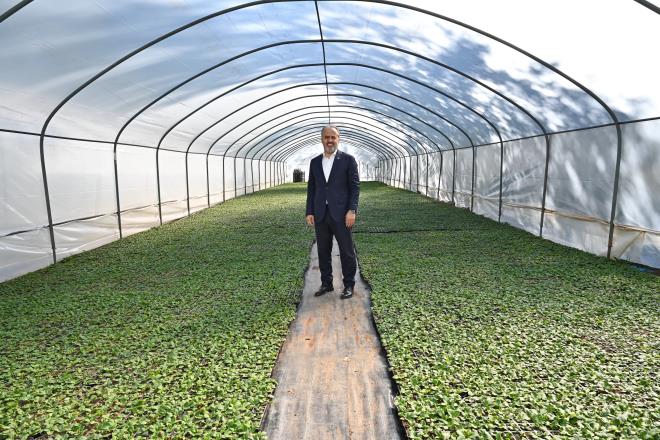 Bursa?nn park, bahe, kavak ve refjlerini ssleyen iekler, Kelesli iftilerin hnerli ellerindeyetiiyor. Keles?in Pnarck Mahallesi?nde iftiler tarafndan seralarda retilen alm garantili ss bitkileri ile hem blge ekonomisi deer kazanyor, hem de Bursa estetik bir grnm kazanyor.