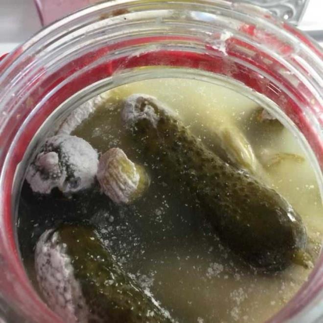 Bu tabaka hemen alnmazsa kf olumasna ve dolaysyla turunun bozulmasna neden olur.