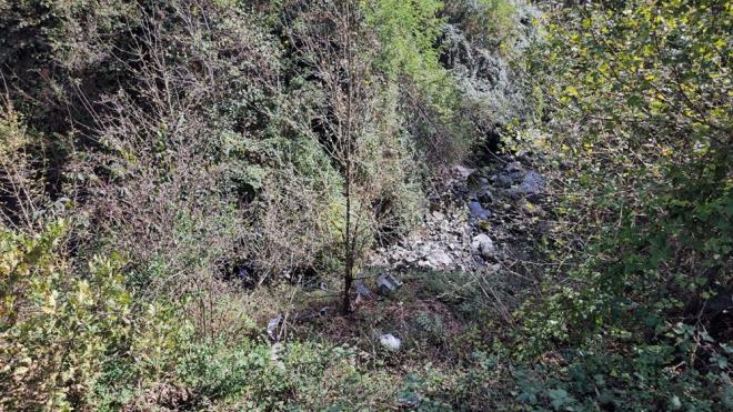 Zonguldak?n Ereli ilesinde meydana gelen trafik kazasnda Kazm zsoy ve kz Nazife zsoy, yaamn yitirdi.