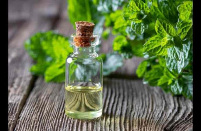 tah kesebilmek kilo verme srecine yaplacak en nemli katklardan biridir. Bu aamadan sonra kontroll bir ekilde kilo vermeye balamak eskisi kadar zorlayc olmaz.