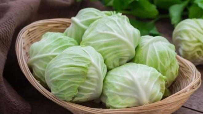 Diyet yaparken en ok tketilmesi gereken besinler arasnda yer alan lahana C vitamini asndan ok zengin bir besindir. erdii zengin vitamin ve mineraller sayesinde  k aylarnda en mucizevi besinlerden biri olarak tanmlanr.