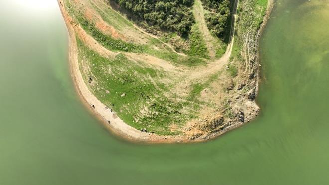 Devlet Su ��leri (DS�) Genel M�d�r Yard�mc�s� B�lent Selek, TBMM Bal�k��l�k ve Su �r�nleri Ara�t�rma Komisyonu?nda �stanbul?daki son duruma ili�kin a��klamalarda bulundu.