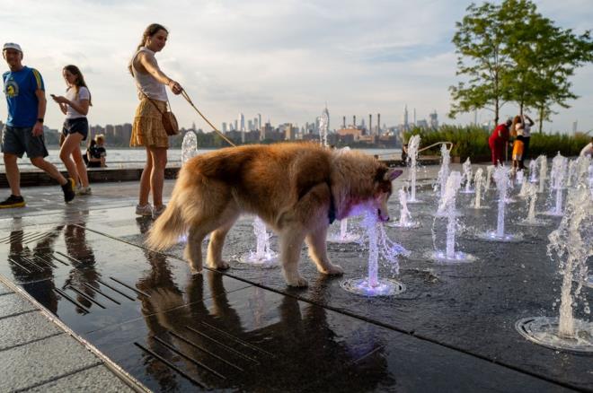 Bu dnemde 7,3 milyar insan ise en az 10 gn sreyle ok yksek scaklklara, dnyadaki her 4 kiiden biri ise en az 5 gnlk ar scak hava dalgasna maruz kald.