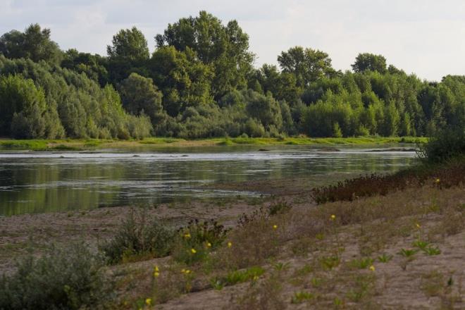 Ortalama scaklk artnn en yksek olduu blgeler arasnda 1,8 dereceyle Tacikistan'n bakenti Duanbe, 1,6 dereceyle Japonya'da Tokyo, 1,5 dereceyle ran'n Mehed, Teksas'n Houston, spanya'nn Barselona, svire'nin Bern ve Avusturya'nn Viyana ehirleri yer ald.    ABD'nin New York eyaletinde ortalama scaklk art 1,4 derece olurken, in'in birok ehrinde scaklk artlar 1 ila 1,5 derece arasnda lld.